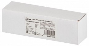 Накладной светильник Эра  TRM-S5-1-6W4K-WH в Качканаре - kachkanar.ok-mebel.com | фото 6