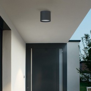Накладной светильник Favourite Fantum 4663-1U в Качканаре - kachkanar.ok-mebel.com | фото 3