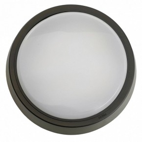 Накладной светильник Feron AL3020 51474 в Качканаре - kachkanar.ok-mebel.com | фото 4