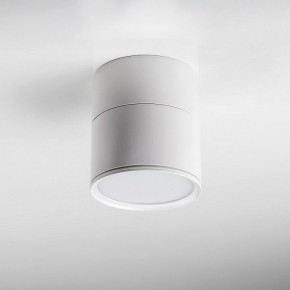 Накладной светильник Lightstar Acuto 215886 в Качканаре - kachkanar.ok-mebel.com | фото 3