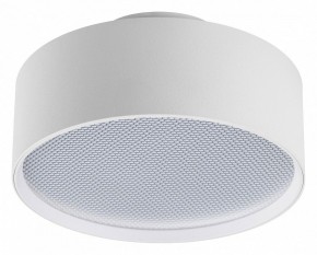 Накладной светильник Lightstar Acuto 215936 в Качканаре - kachkanar.ok-mebel.com | фото