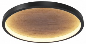 Накладной светильник Maytoni Orign MOD311CL-L40B3K в Качканаре - kachkanar.ok-mebel.com | фото