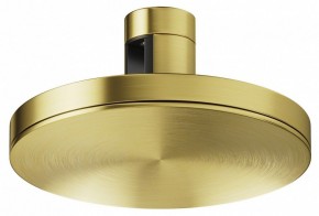 Накладной светильник Maytoni Plato TR152-1-7W4K-BS в Качканаре - kachkanar.ok-mebel.com | фото