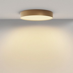 Накладной светильник Maytoni Zon C032CL-45W2.7K-RD-MG в Качканаре - kachkanar.ok-mebel.com | фото 4