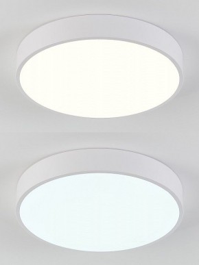 Накладной светильник Natali Kovaltseva  LED LAMPS 81111/5C в Качканаре - kachkanar.ok-mebel.com | фото 4