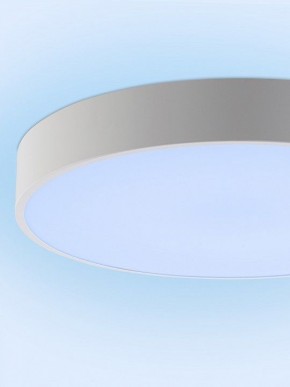 Накладной светильник Natali Kovaltseva MODERN LED LAMPS 81105/1C в Качканаре - kachkanar.ok-mebel.com | фото 11