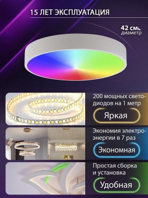 Накладной светильник Natali Kovaltseva MODERN LED LAMPS 81105/1C в Качканаре - kachkanar.ok-mebel.com | фото 6