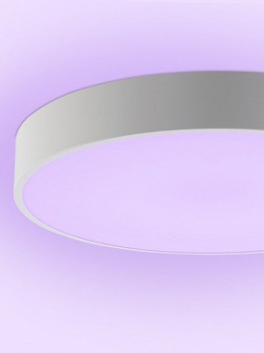 Накладной светильник Natali Kovaltseva MODERN LED LAMPS 81105/1C в Качканаре - kachkanar.ok-mebel.com | фото 9