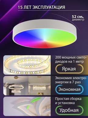 Накладной светильник Natali Kovaltseva MODERN LED LAMPS 81105/2C в Качканаре - kachkanar.ok-mebel.com | фото 6