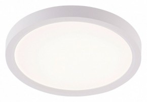 Накладной светильник Natali Kovaltseva PLAIN LED LAMPS 81113/1C в Качканаре - kachkanar.ok-mebel.com | фото