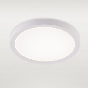 Накладной светильник Natali Kovaltseva PLAIN LED LAMPS 81113/1C в Качканаре - kachkanar.ok-mebel.com | фото 2