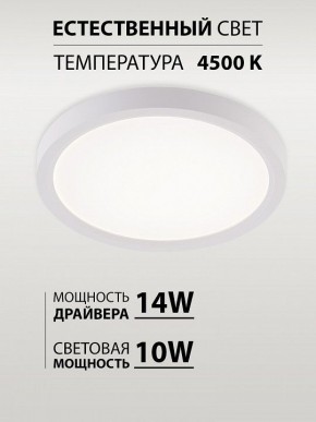 Накладной светильник Natali Kovaltseva PLAIN LED LAMPS 81113/1C в Качканаре - kachkanar.ok-mebel.com | фото 4