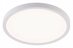 Накладной светильник Natali Kovaltseva PLAIN LED LAMPS 81113/2C в Качканаре - kachkanar.ok-mebel.com | фото