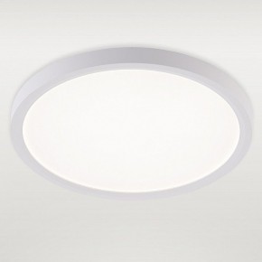Накладной светильник Natali Kovaltseva PLAIN LED LAMPS 81113/2C в Качканаре - kachkanar.ok-mebel.com | фото 2