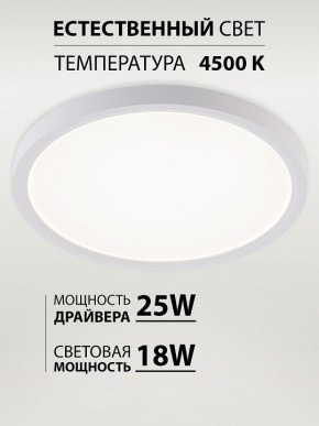 Накладной светильник Natali Kovaltseva PLAIN LED LAMPS 81113/2C в Качканаре - kachkanar.ok-mebel.com | фото 3