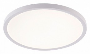 Накладной светильник Natali Kovaltseva PLAIN LED LAMPS 81113/3C в Качканаре - kachkanar.ok-mebel.com | фото