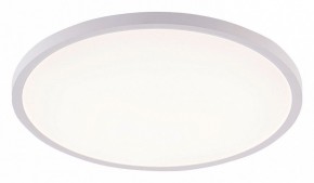 Накладной светильник Natali Kovaltseva PLAIN LED LAMPS 81113/5C в Качканаре - kachkanar.ok-mebel.com | фото