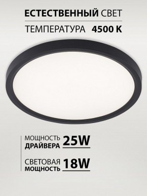 Накладной светильник Natali Kovaltseva PLAIN LED LAMPS 81114/2C в Качканаре - kachkanar.ok-mebel.com | фото 3
