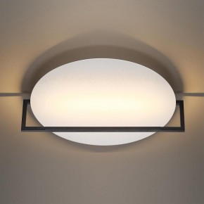 Накладной светильник Odeon Light Next 7015/20WL в Качканаре - kachkanar.ok-mebel.com | фото 2
