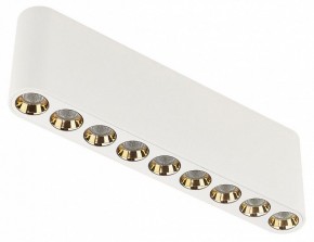 Накладной светильник Odeon Light Small 7091/21CL в Качканаре - kachkanar.ok-mebel.com | фото