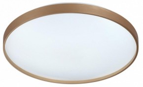 Накладной светильник Sonex Gaby 7783/EL в Качканаре - kachkanar.ok-mebel.com | фото 4