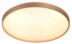 Накладной светильник Sonex Gaby 7783/EL в Качканаре - kachkanar.ok-mebel.com | фото 5