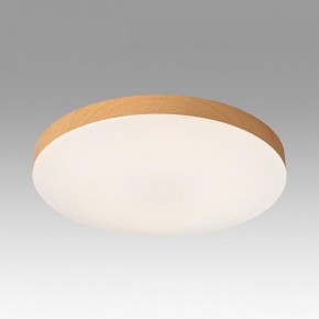 Накладной светильник Sonex Gamma 7761/50L в Качканаре - kachkanar.ok-mebel.com | фото 3