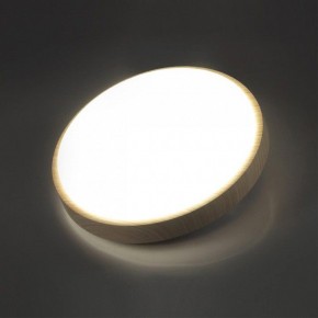 Накладной светильник Sonex Losta 7607/AL в Качканаре - kachkanar.ok-mebel.com | фото 3