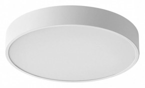 Накладной светильник Sonex Quasar 7755/36L в Качканаре - kachkanar.ok-mebel.com | фото
