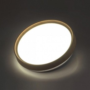 Накладной светильник Sonex Woodi 7603/CL в Качканаре - kachkanar.ok-mebel.com | фото 3