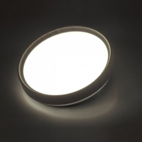 Накладной светильник Sonex Woodi 7627/CL в Качканаре - kachkanar.ok-mebel.com | фото 3