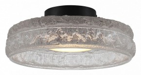 Накладной светильник ST-Luce ANTIKE SL6143.402.01 в Качканаре - kachkanar.ok-mebel.com | фото 2