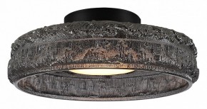 Накладной светильник ST-Luce ANTIKE SL6143.412.01 в Качканаре - kachkanar.ok-mebel.com | фото 2