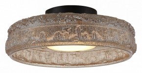 Накладной светильник ST-Luce ANTIKE SL6143.422.01 в Качканаре - kachkanar.ok-mebel.com | фото 3