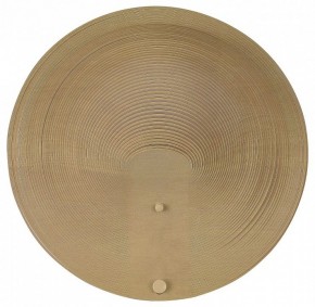 Накладной светильник ST-Luce Fossil SL6900.501.16 в Качканаре - kachkanar.ok-mebel.com | фото