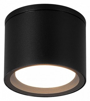 Накладной светильник ST-Luce Tubo SL9006.402.01 в Качканаре - kachkanar.ok-mebel.com | фото 2