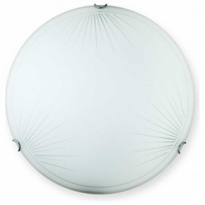 Накладной светильник TopLight Wifa TL9142Y-00WH в Качканаре - kachkanar.ok-mebel.com | фото