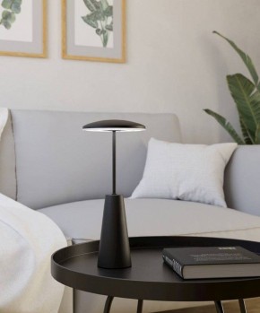 Настольная лампа декоративная Eglo PICCOLA 900925 в Качканаре - kachkanar.ok-mebel.com | фото 4