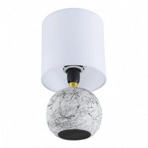 Настольная лампа декоративная Lumion VILANA 8166/1T в Качканаре - kachkanar.ok-mebel.com | фото 2