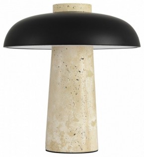 Настольная лампа декоративная ST-Luce Earthy SL1194.424.01 в Качканаре - kachkanar.ok-mebel.com | фото