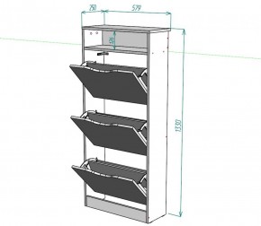 Обувница W10 (ДСС) в Качканаре - kachkanar.ok-mebel.com | фото