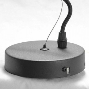 Подвесная люстра Lussole Huron GRLSP-8156 в Качканаре - kachkanar.ok-mebel.com | фото 6