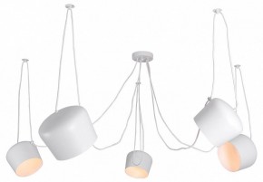 Подвесная люстра Lussole Shirley LSP-8175 в Качканаре - kachkanar.ok-mebel.com | фото