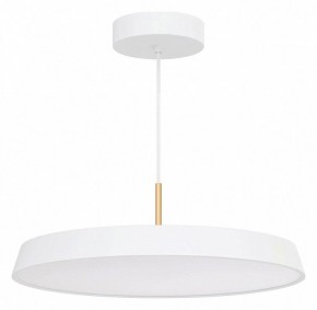 Подвесной светильник Arlight ELEGANT 033925(1) в Качканаре - kachkanar.ok-mebel.com | фото 2