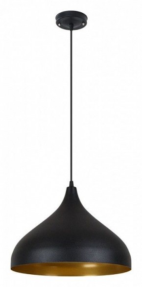 Подвесной светильник Arte Lamp Carmel A7076SP-1BK в Качканаре - kachkanar.ok-mebel.com | фото 2