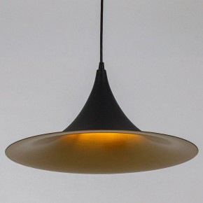 Подвесной светильник Arte Lamp Carmel A7080SP-1BK в Качканаре - kachkanar.ok-mebel.com | фото