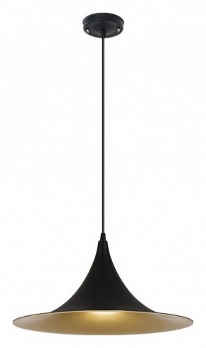 Подвесной светильник Arte Lamp Carmel A7080SP-1BK в Качканаре - kachkanar.ok-mebel.com | фото 2