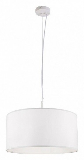 Подвесной светильник Arte Lamp Coppa A4095SP-3WH в Качканаре - kachkanar.ok-mebel.com | фото 2