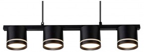 Подвесной светильник Arte Lamp Legacy A8024SP-4BK в Качканаре - kachkanar.ok-mebel.com | фото