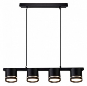 Подвесной светильник Arte Lamp Legacy A8024SP-4BK в Качканаре - kachkanar.ok-mebel.com | фото 2